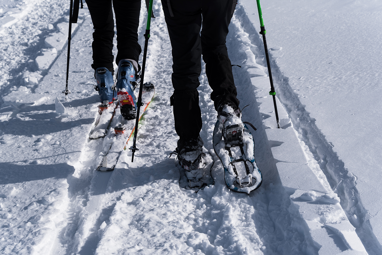 Carpații Meridionali