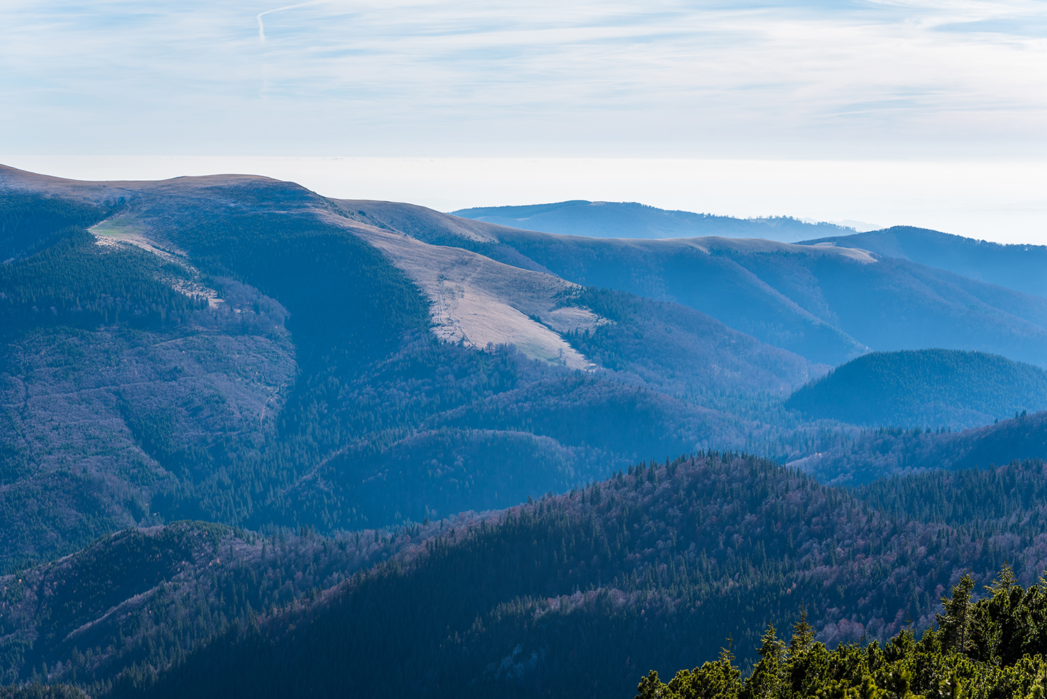 Munții Piule-Iorgovanu