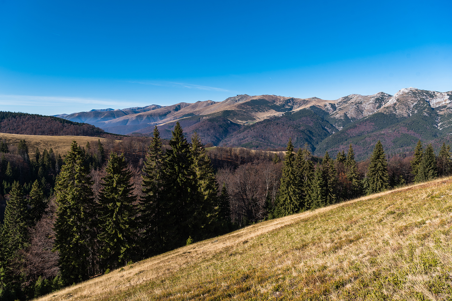 Munții Piule-Iorgovanu
