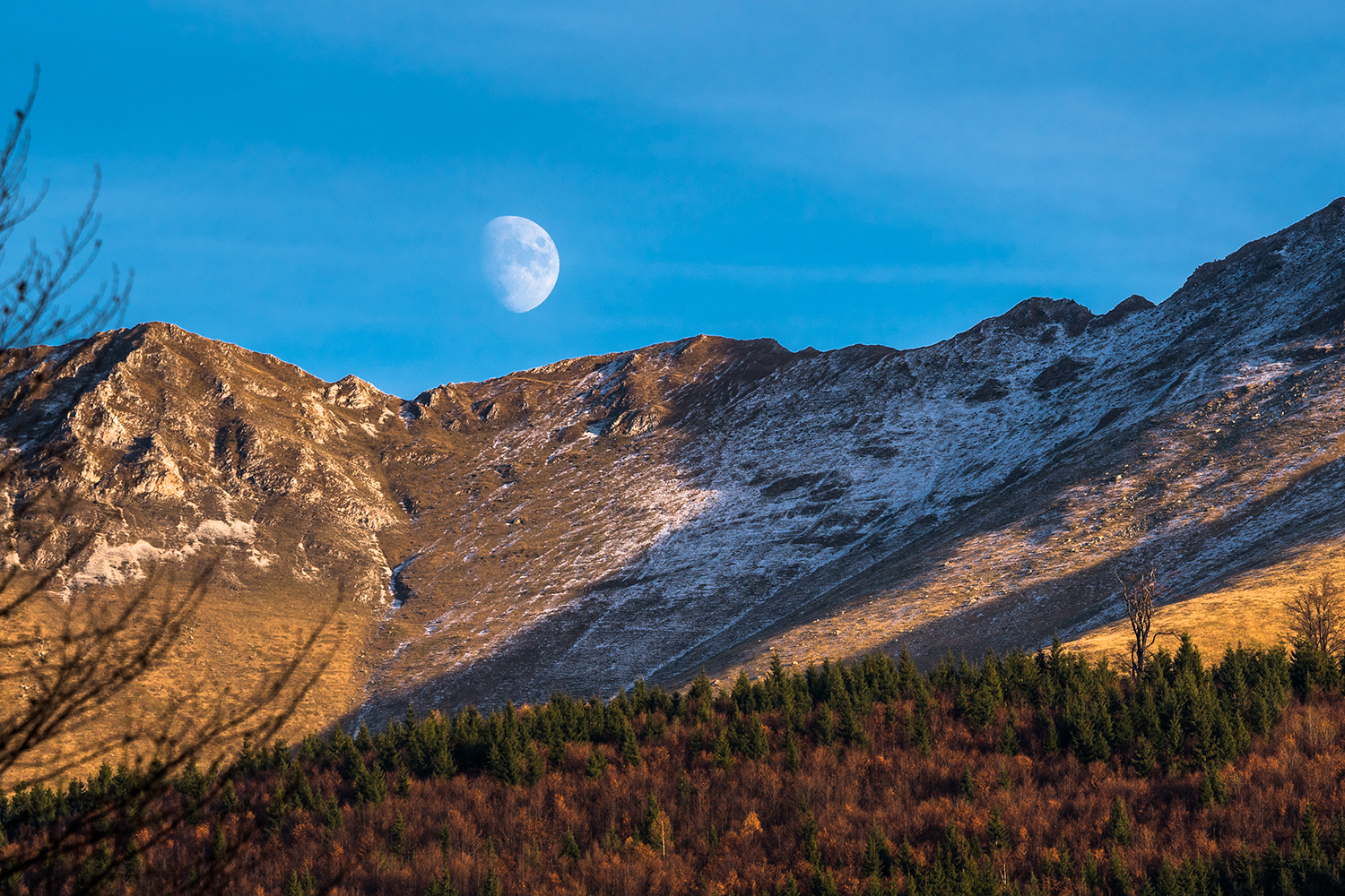 Munții Piule-Iorgovanu
