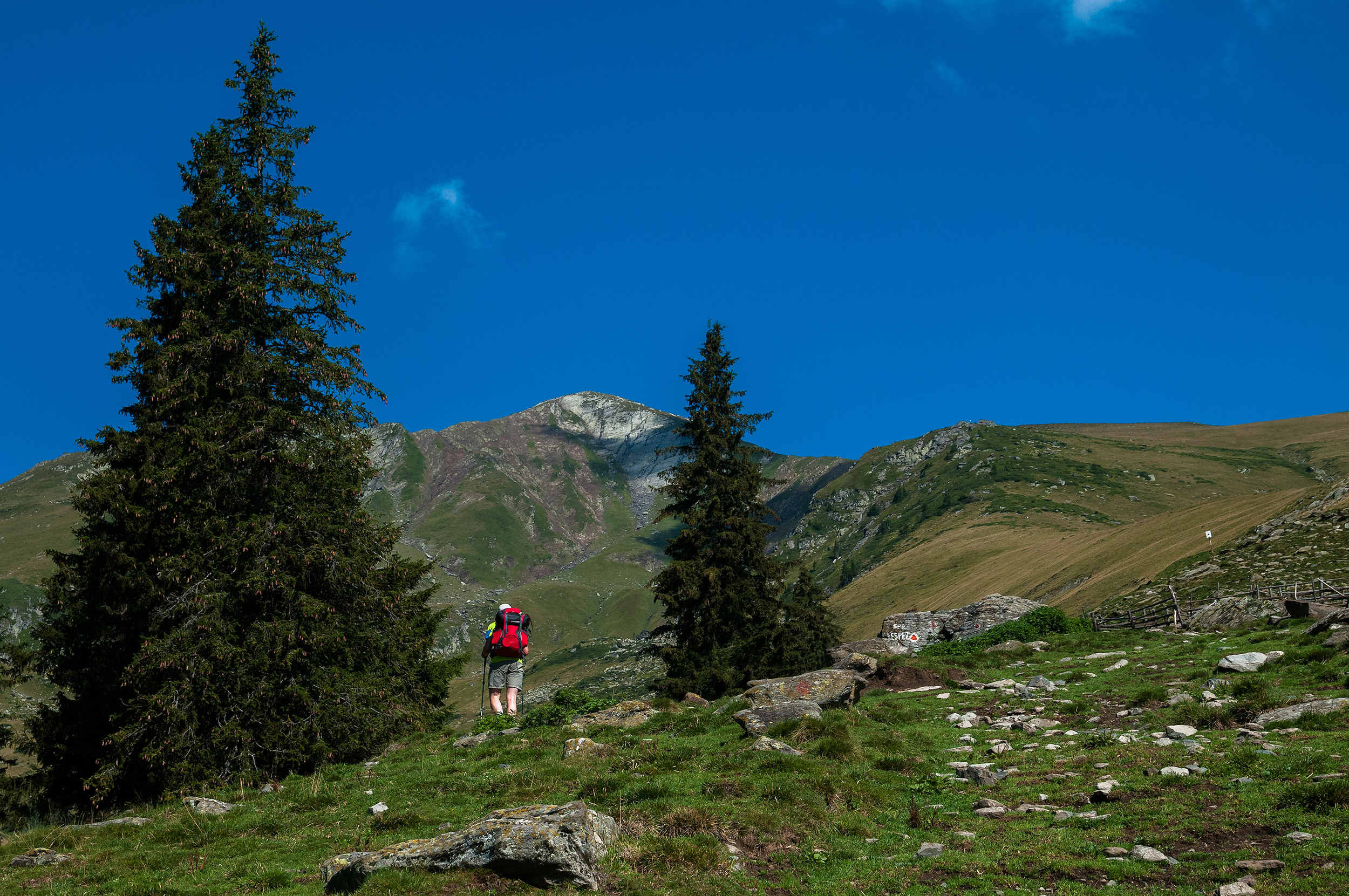  De lângă stână se poate vedea punctul somital al destinației, Vârful Lespezi.