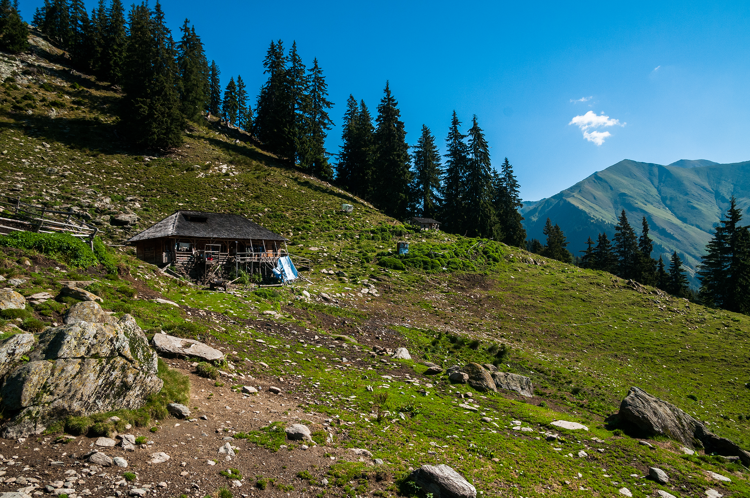  Stâna Lespezi dimineața la ora la care oile sunt la pășunat. 