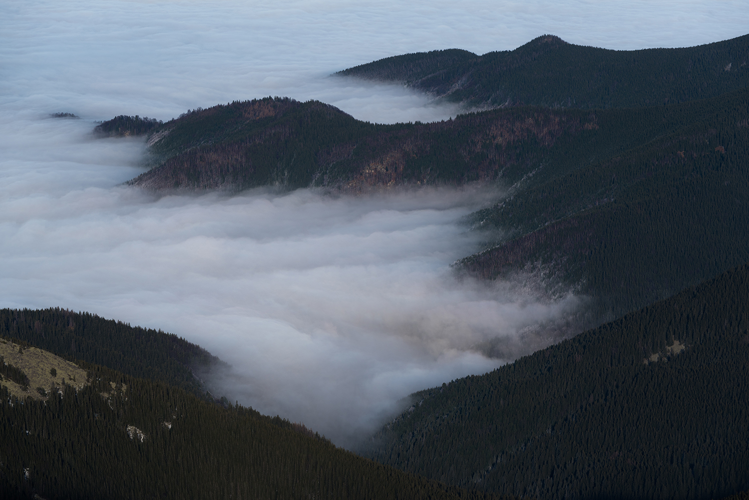  Carpații Meridionali