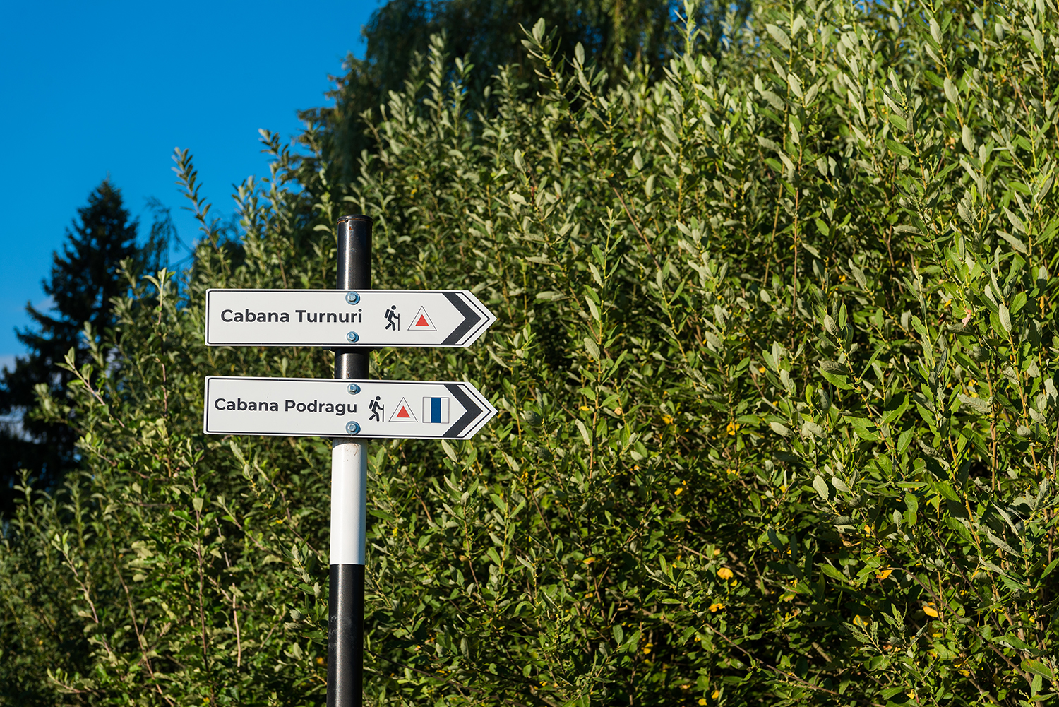 Munții Făgărașului