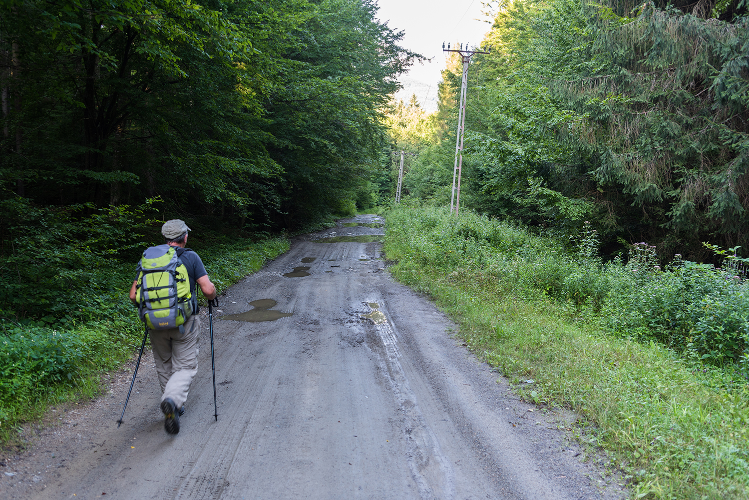Munții Făgărașului