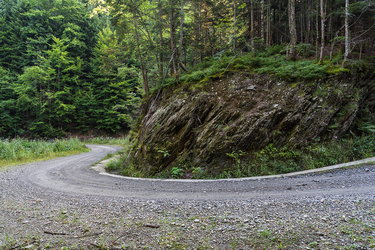 Munții Făgărașului