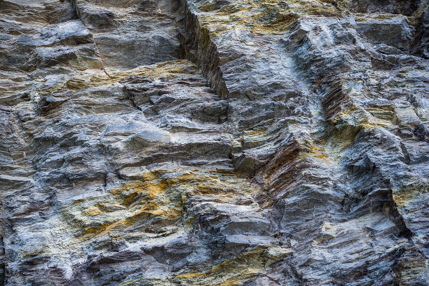 Munții Făgărașului