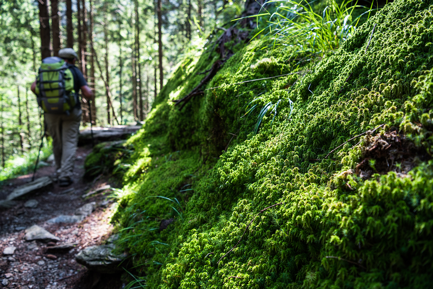Munții Făgărașului