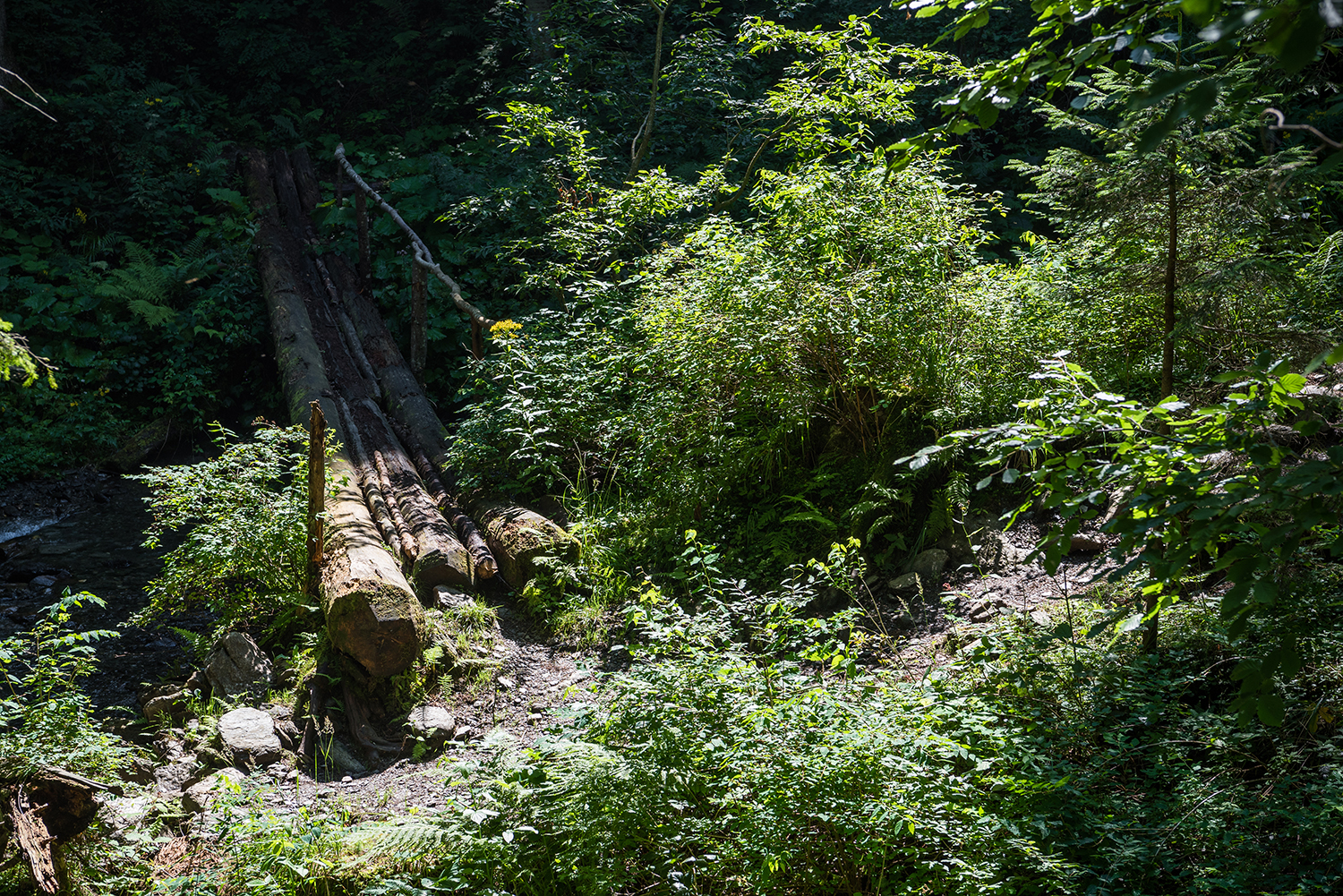 Munții Făgărașului