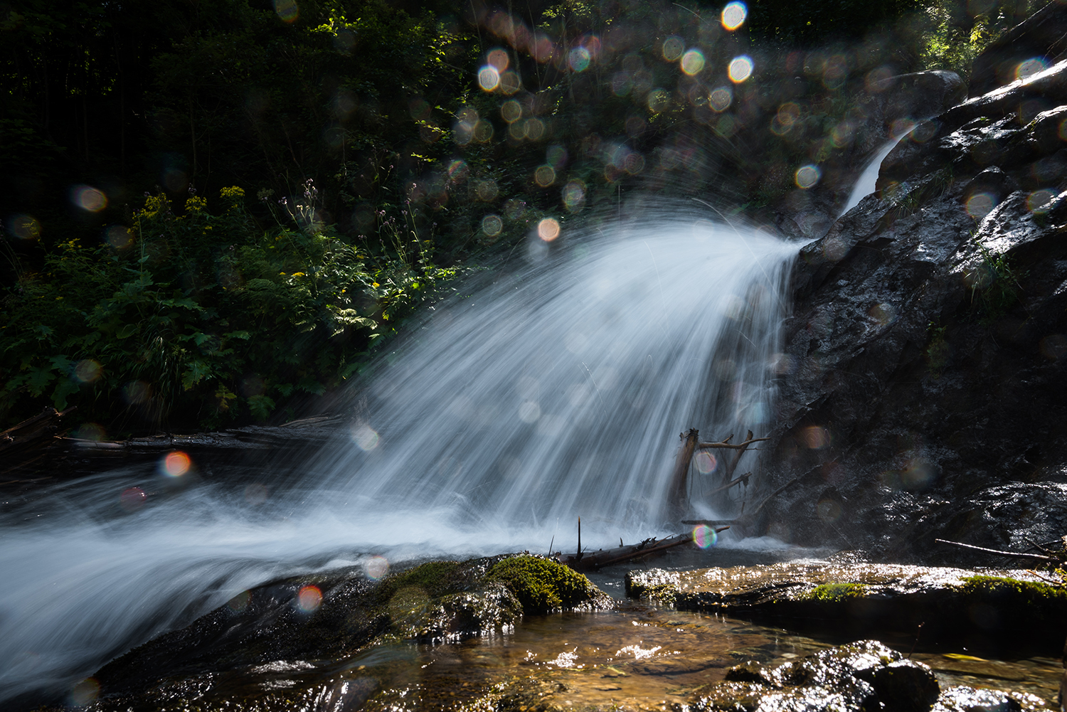 Munții Făgărașului