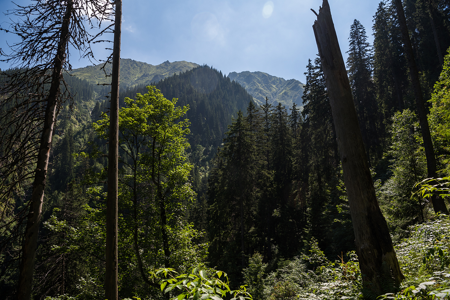 Munții Făgărașului