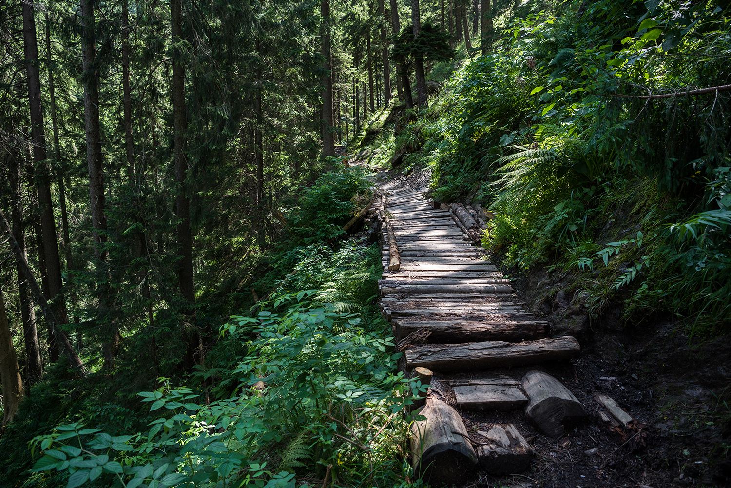 Munții Făgărașului