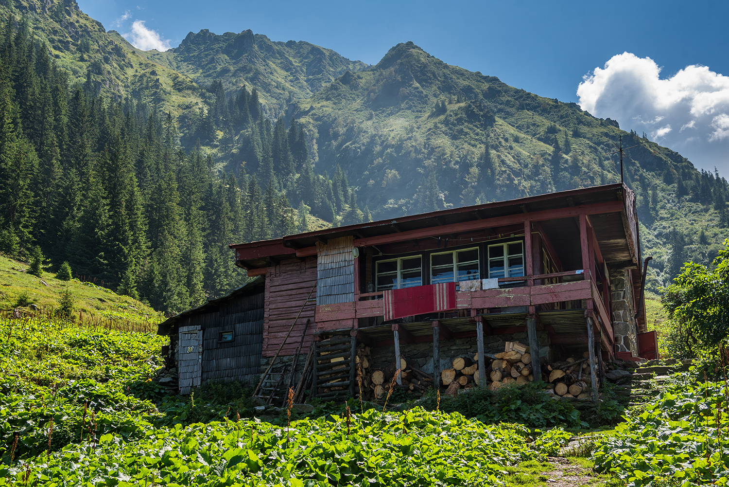 Munții Făgărașului
