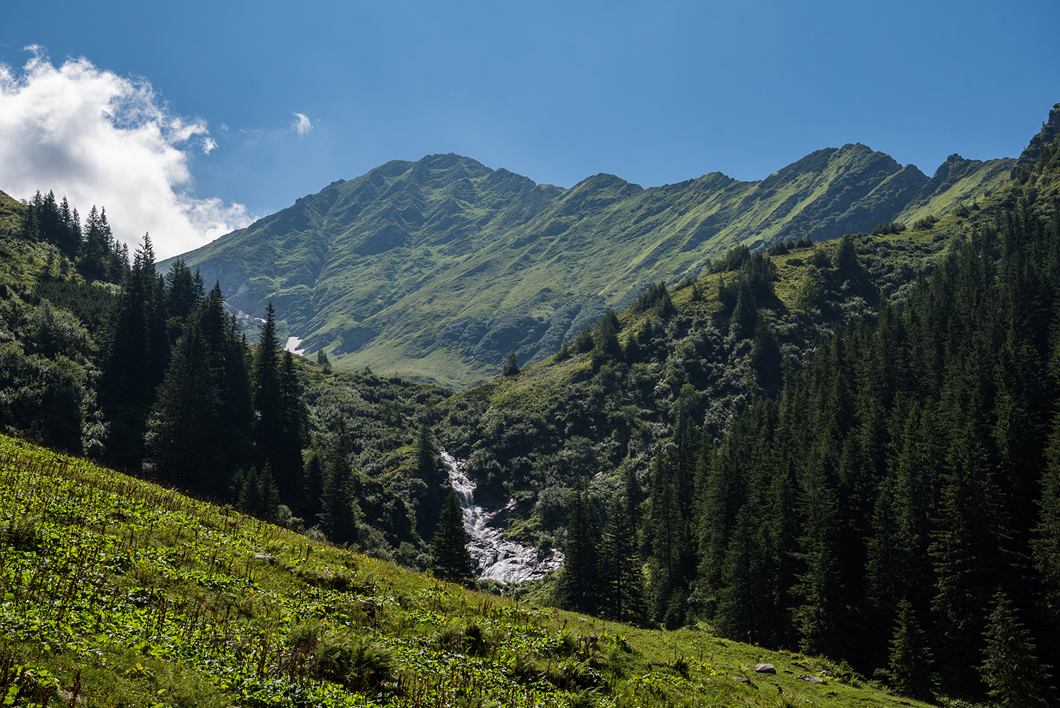 Munții Făgărașului