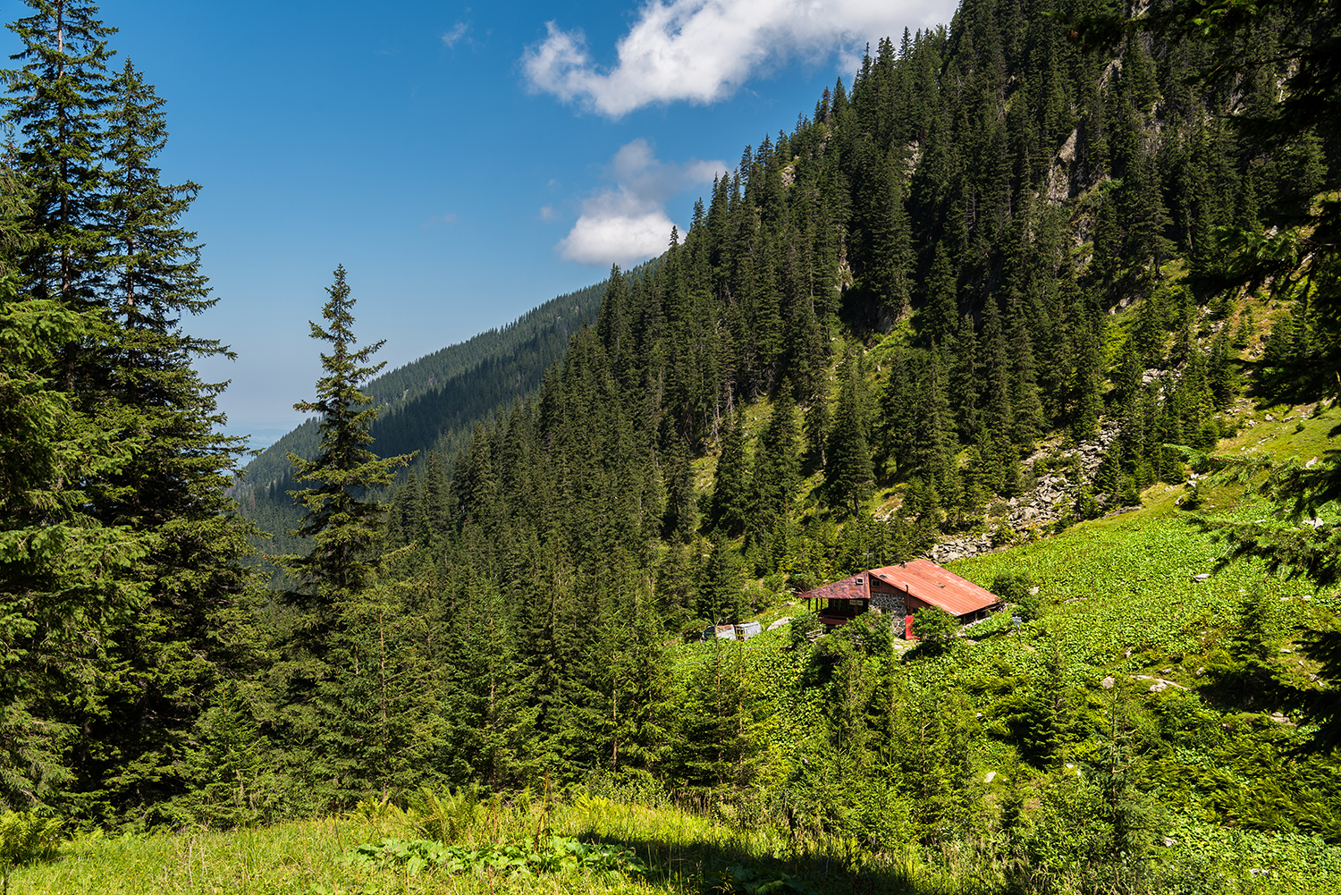 Munții Făgărașului