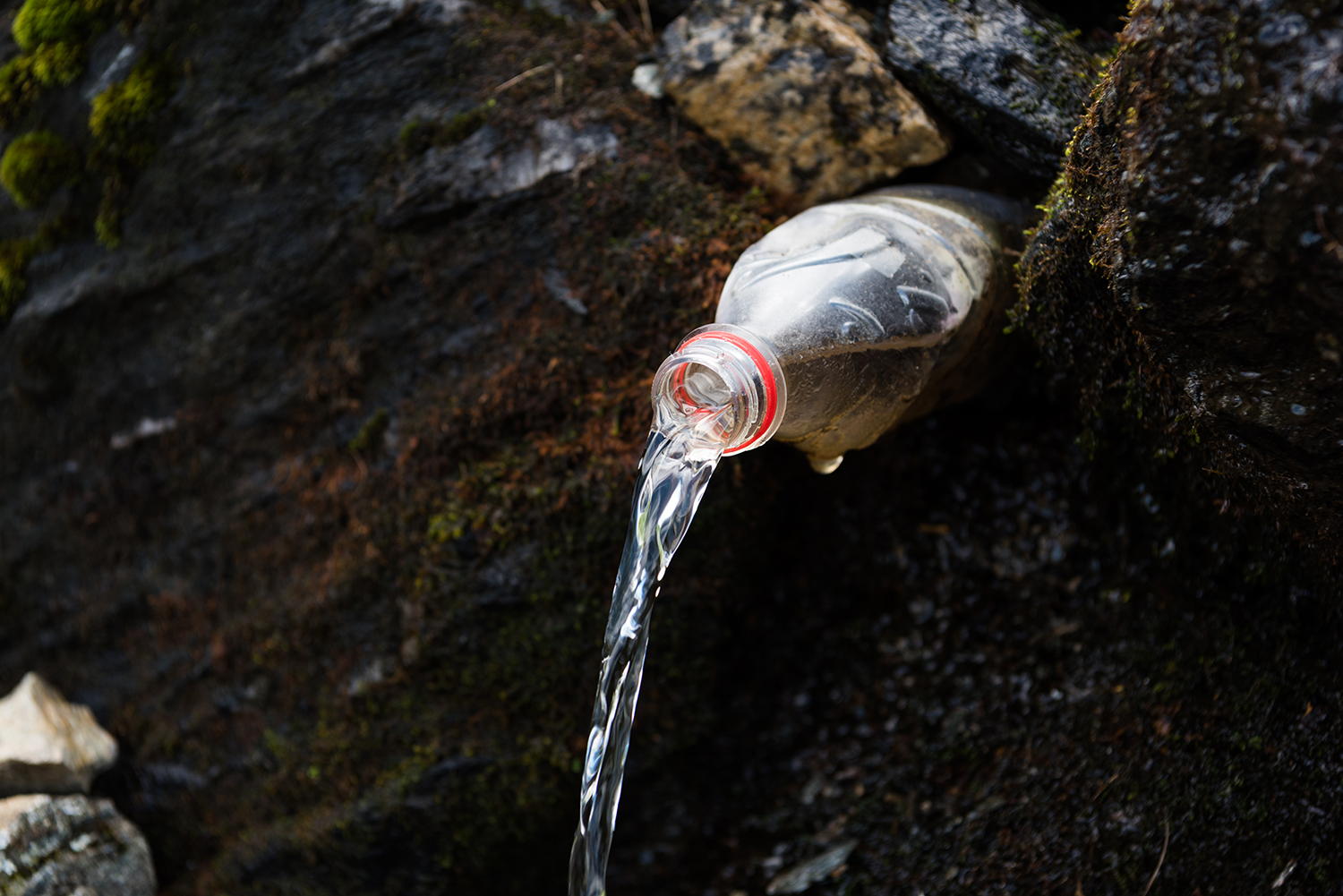 Munții Făgărașului