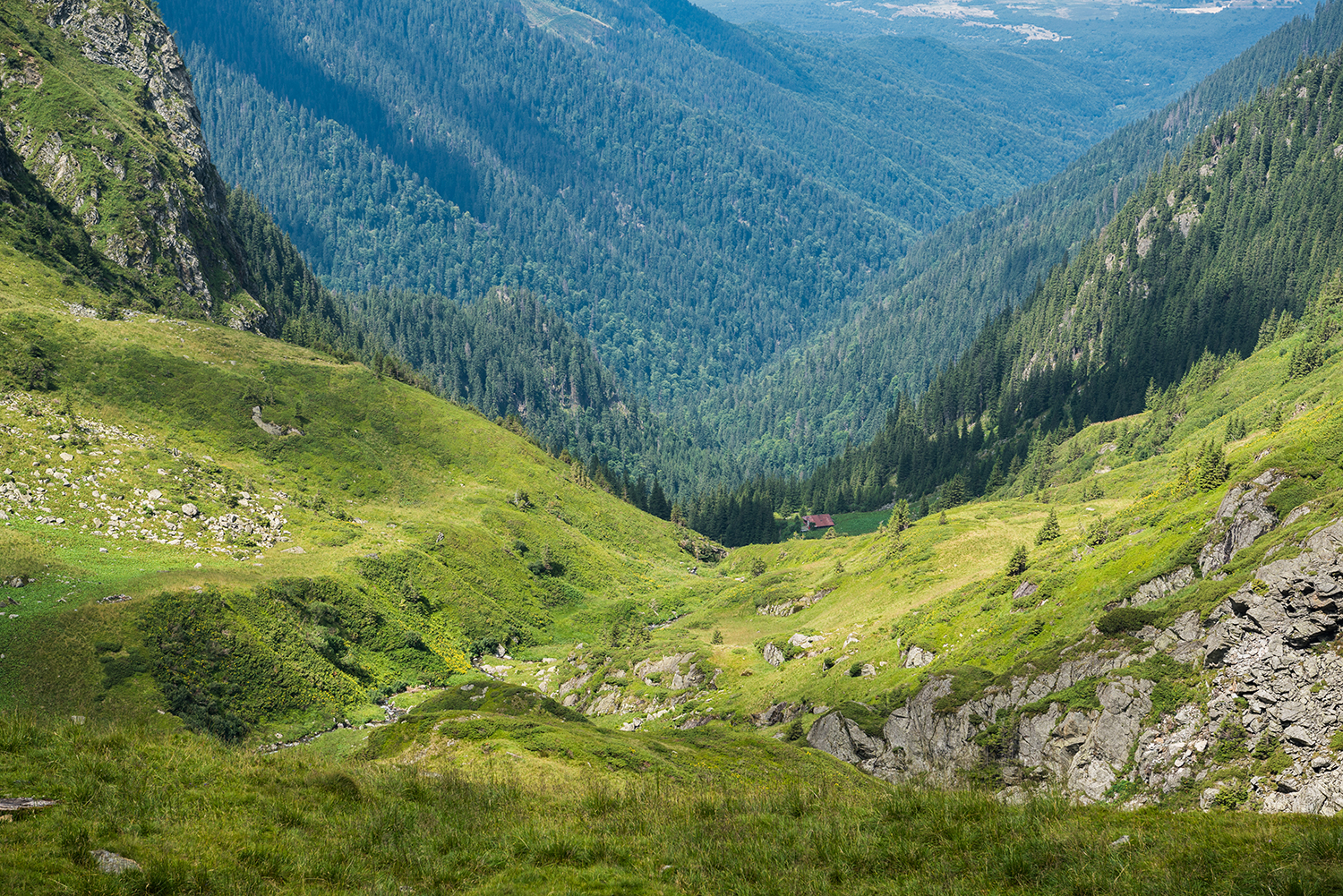 Munții Făgărașului