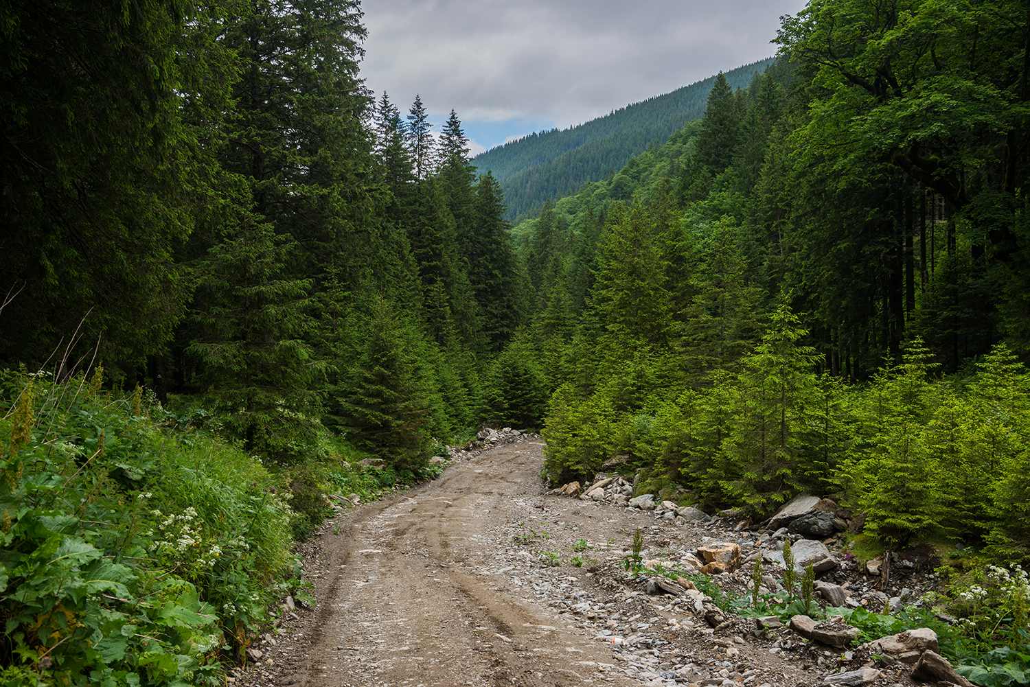  Munții Făgărașului
