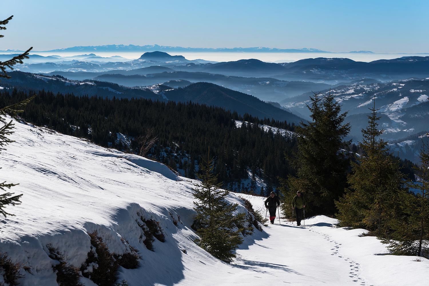 Munții Gilău - Muntele Mare