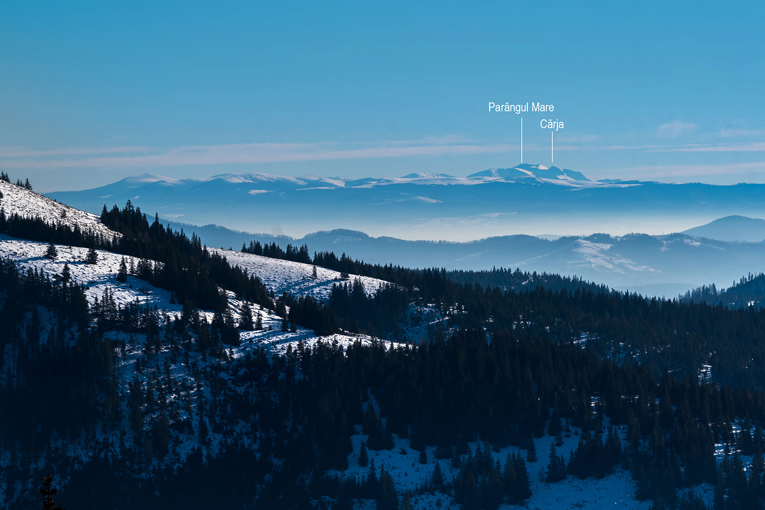 Munții Gilău - Muntele Mare