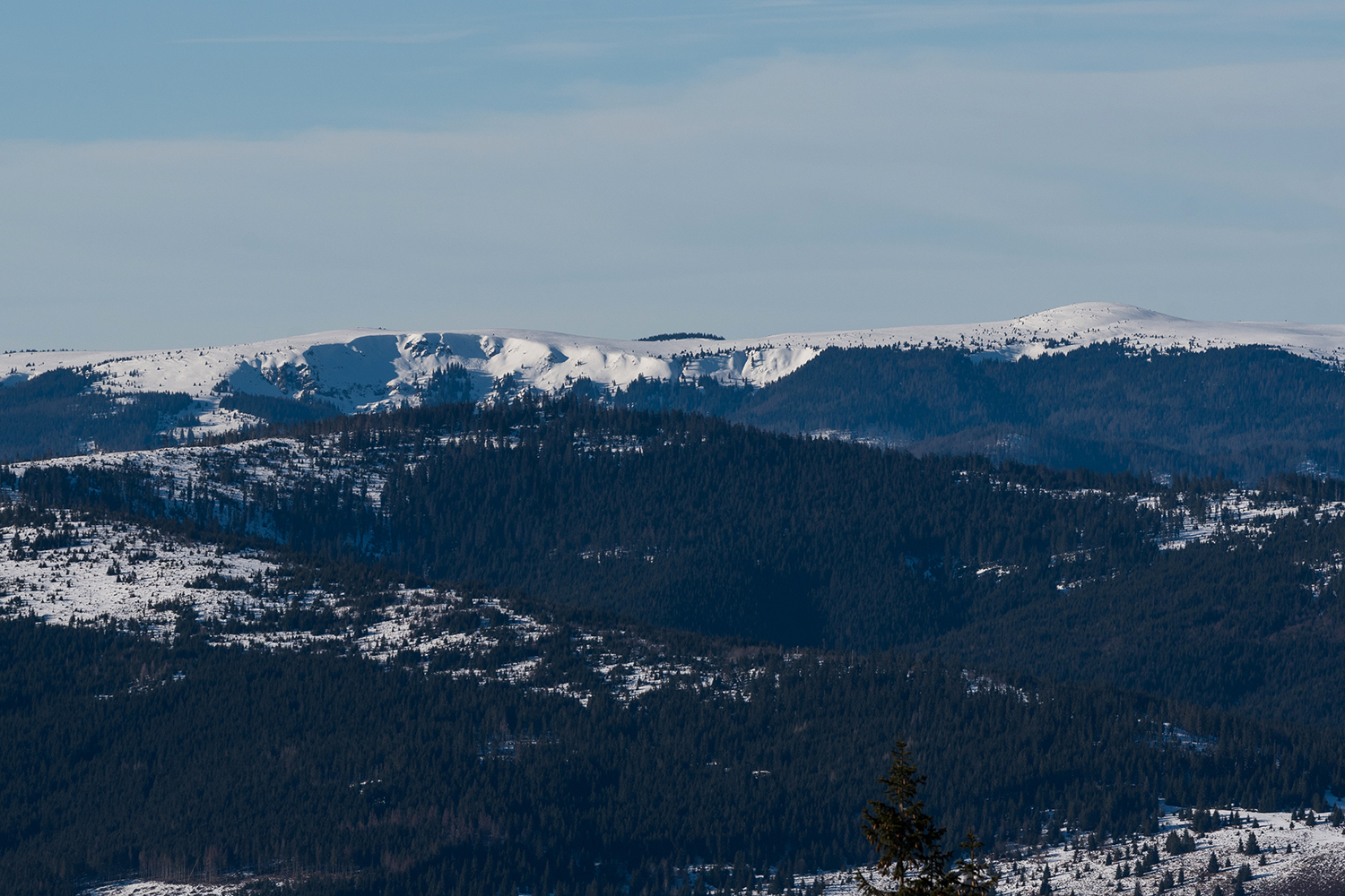 Munții Gilău - Muntele Mare