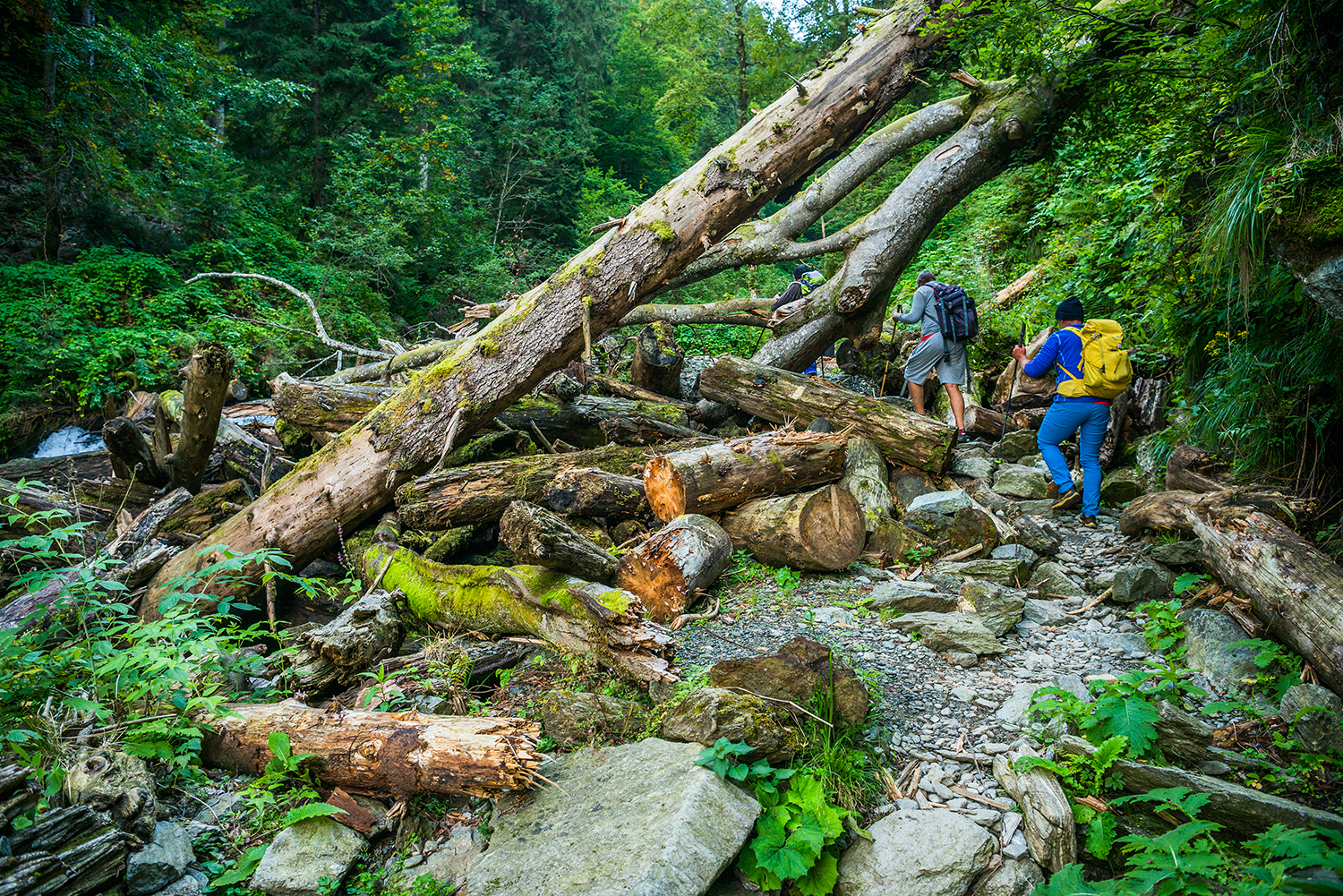 Munții Făgărașului