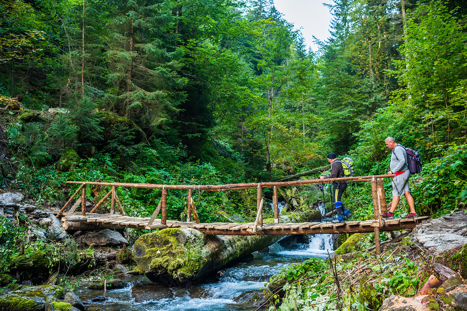 Munții Făgărașului