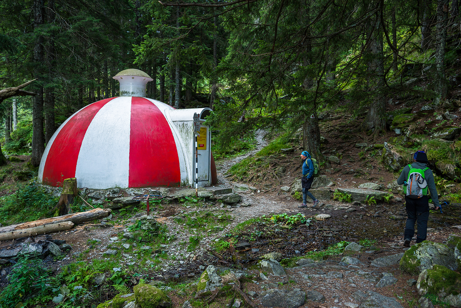 Munții Făgărașului