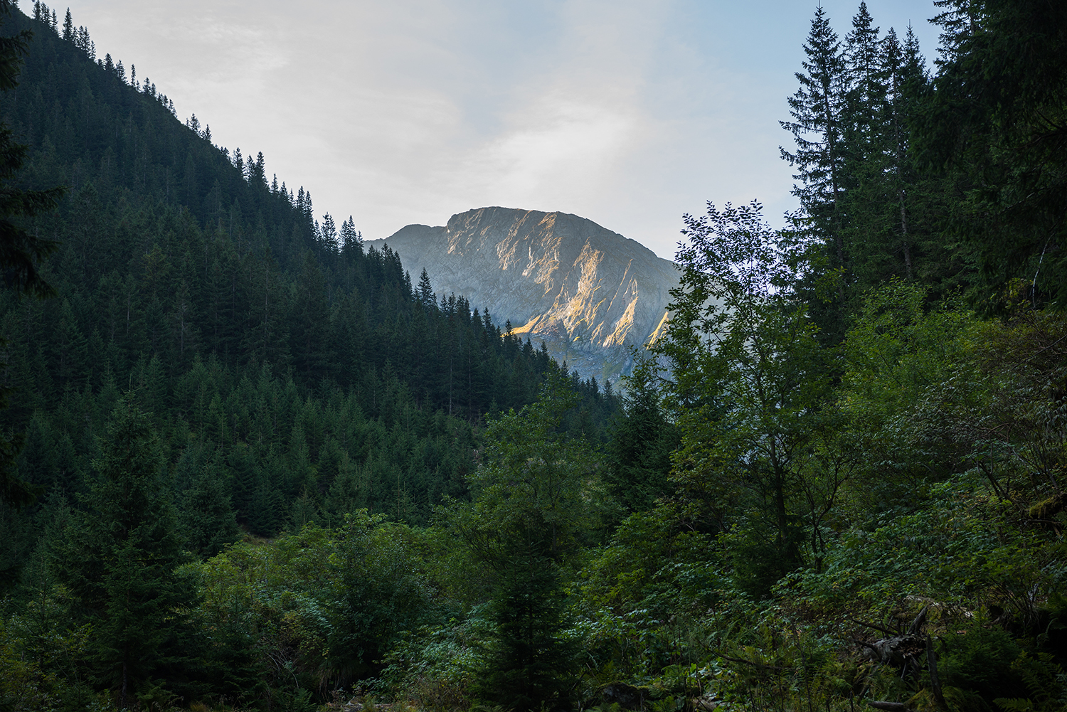Munții Făgărașului