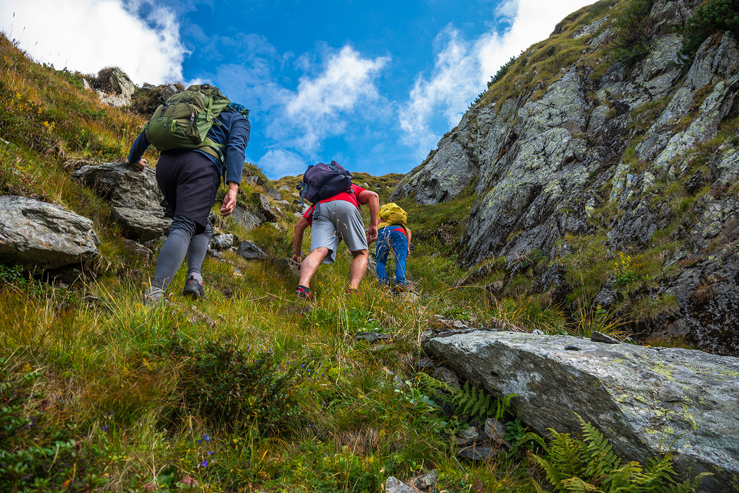 Munții Făgărașului