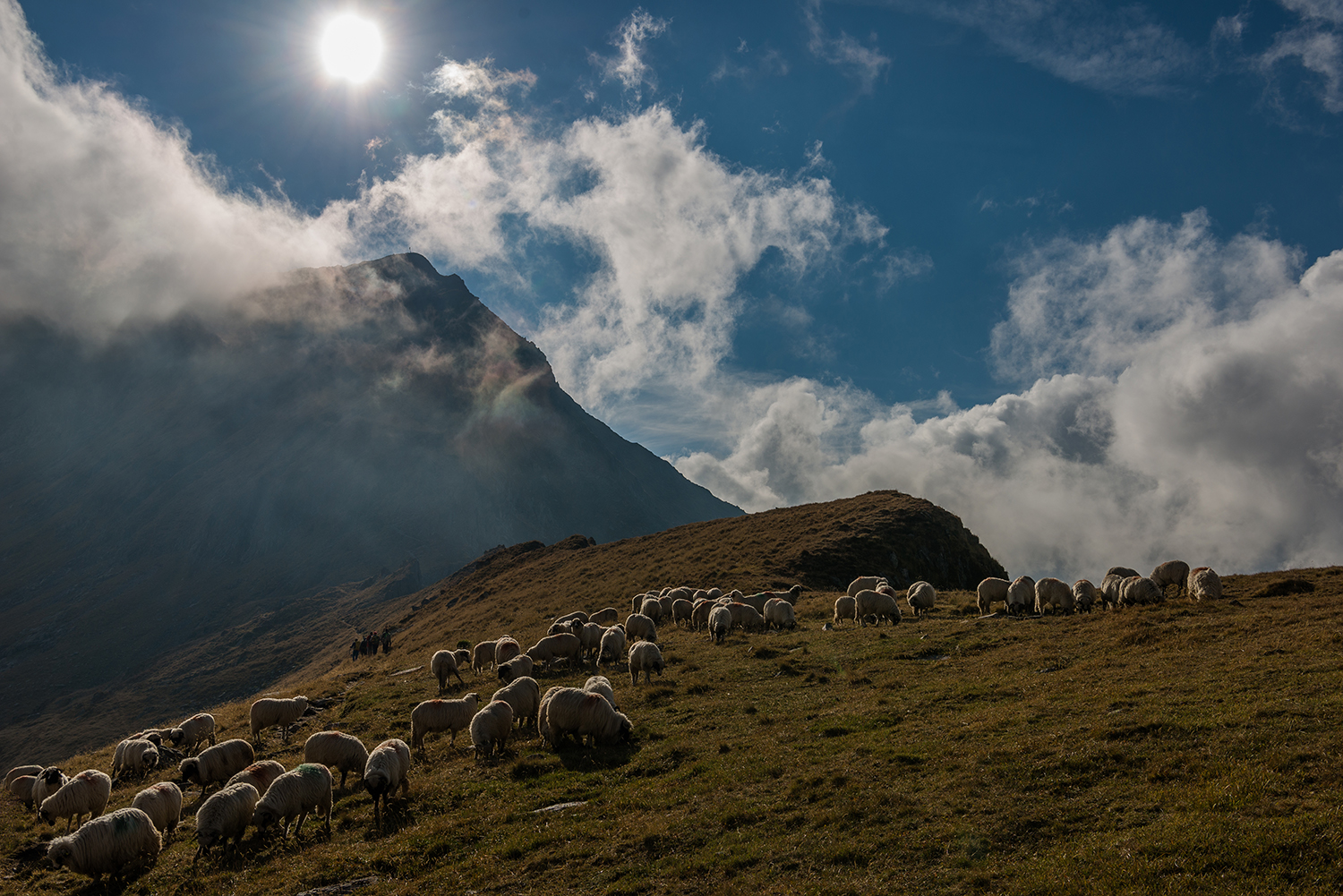 Munții Făgărașului