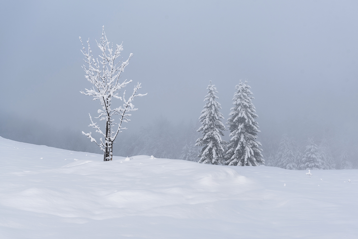 Vârful Cucurbăta Mică