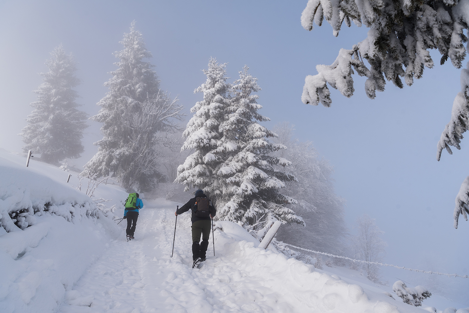 Vârful Cucurbăta Mică