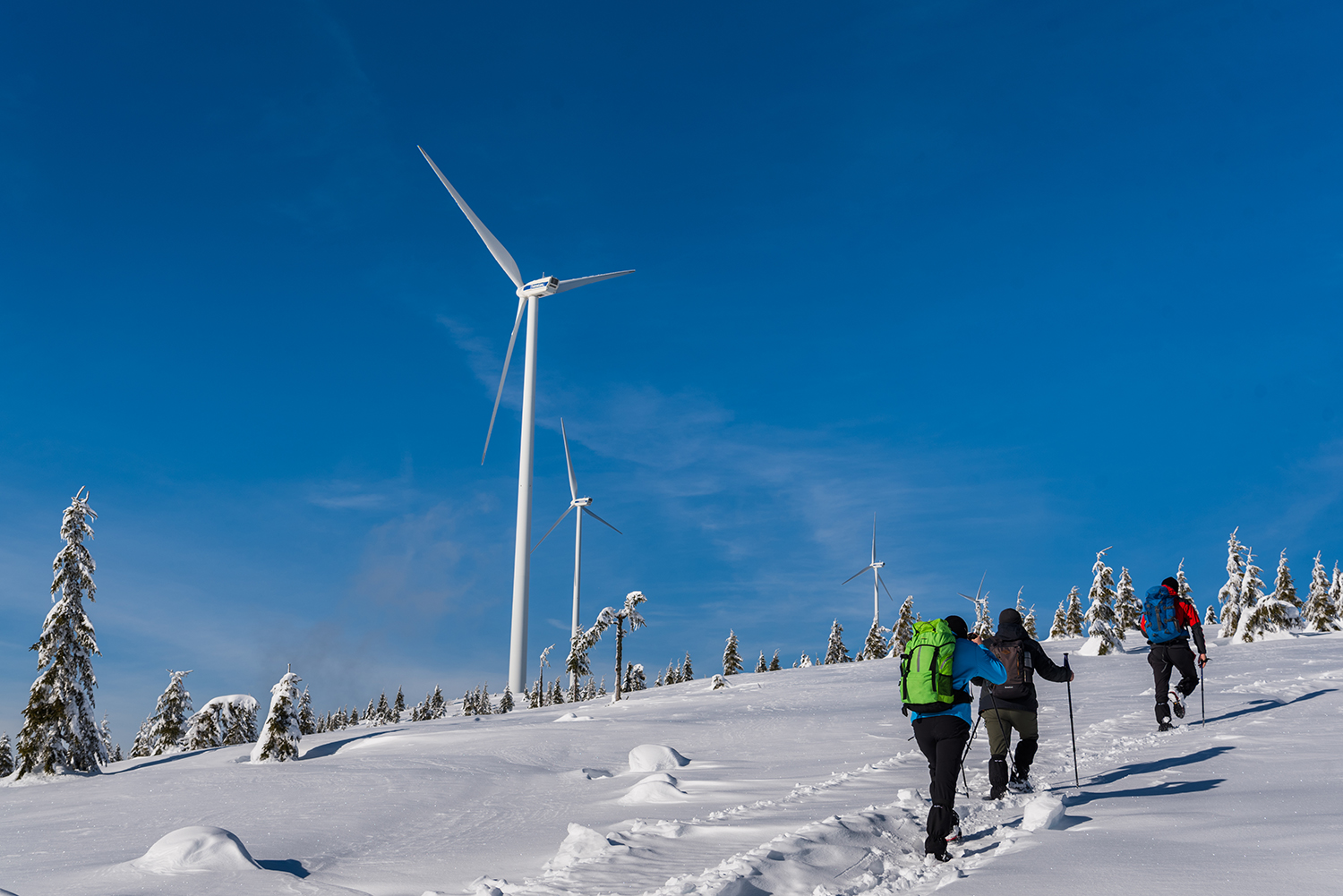 Vârful Cucurbăta Mică