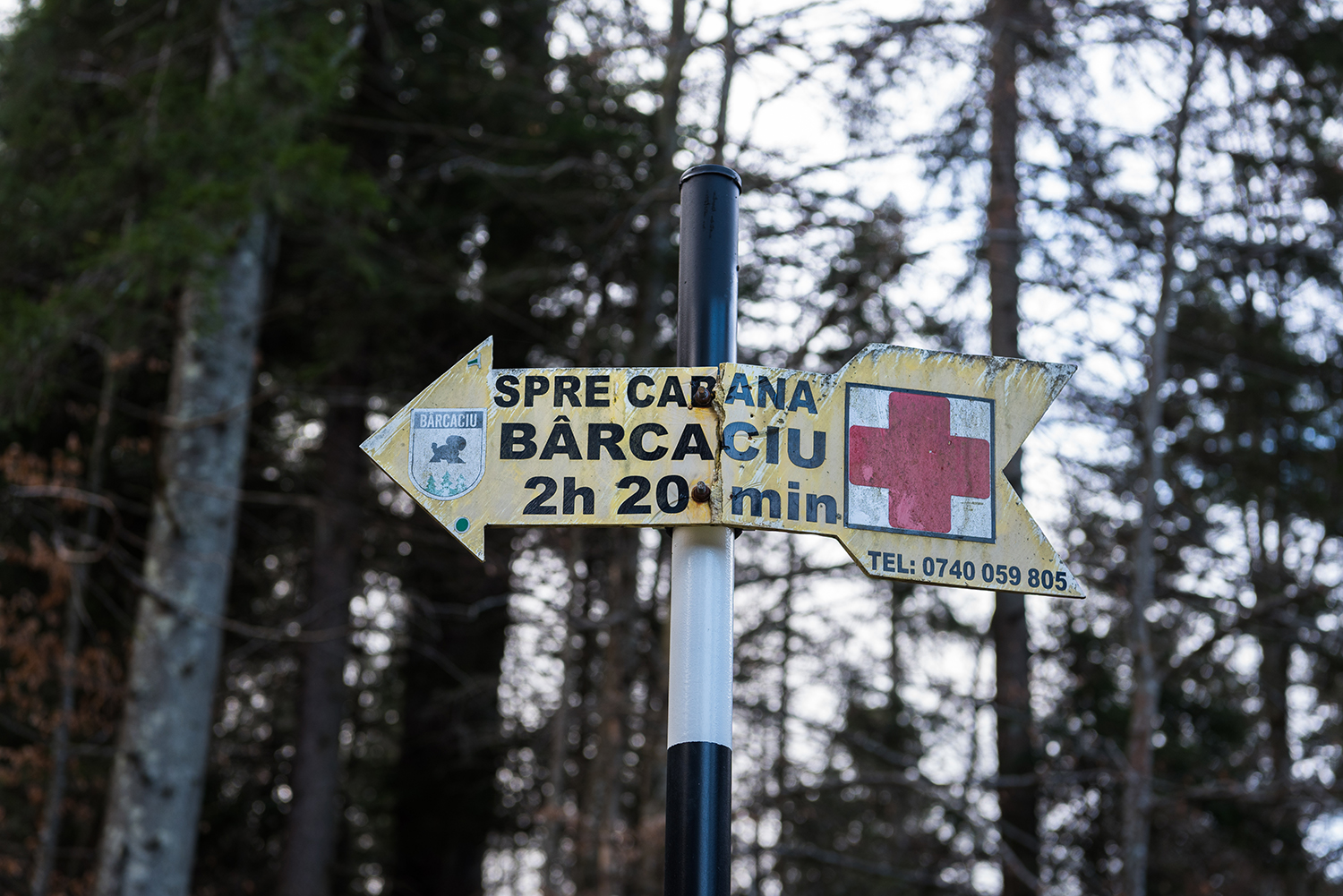 Munții Făgărașului