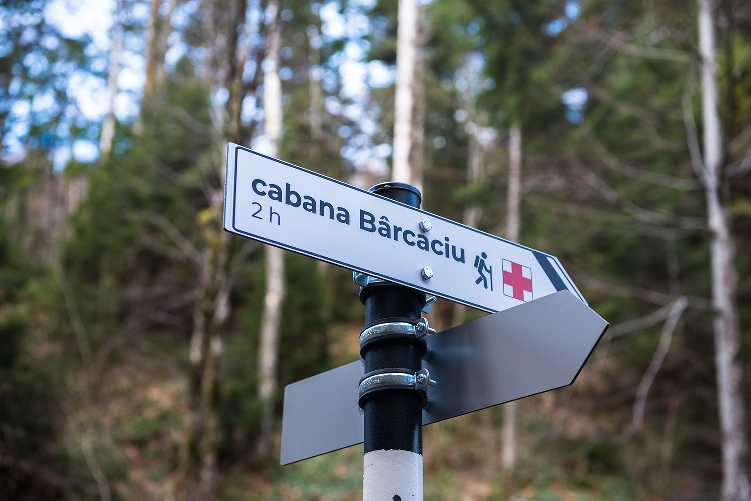 Munții Făgărașului