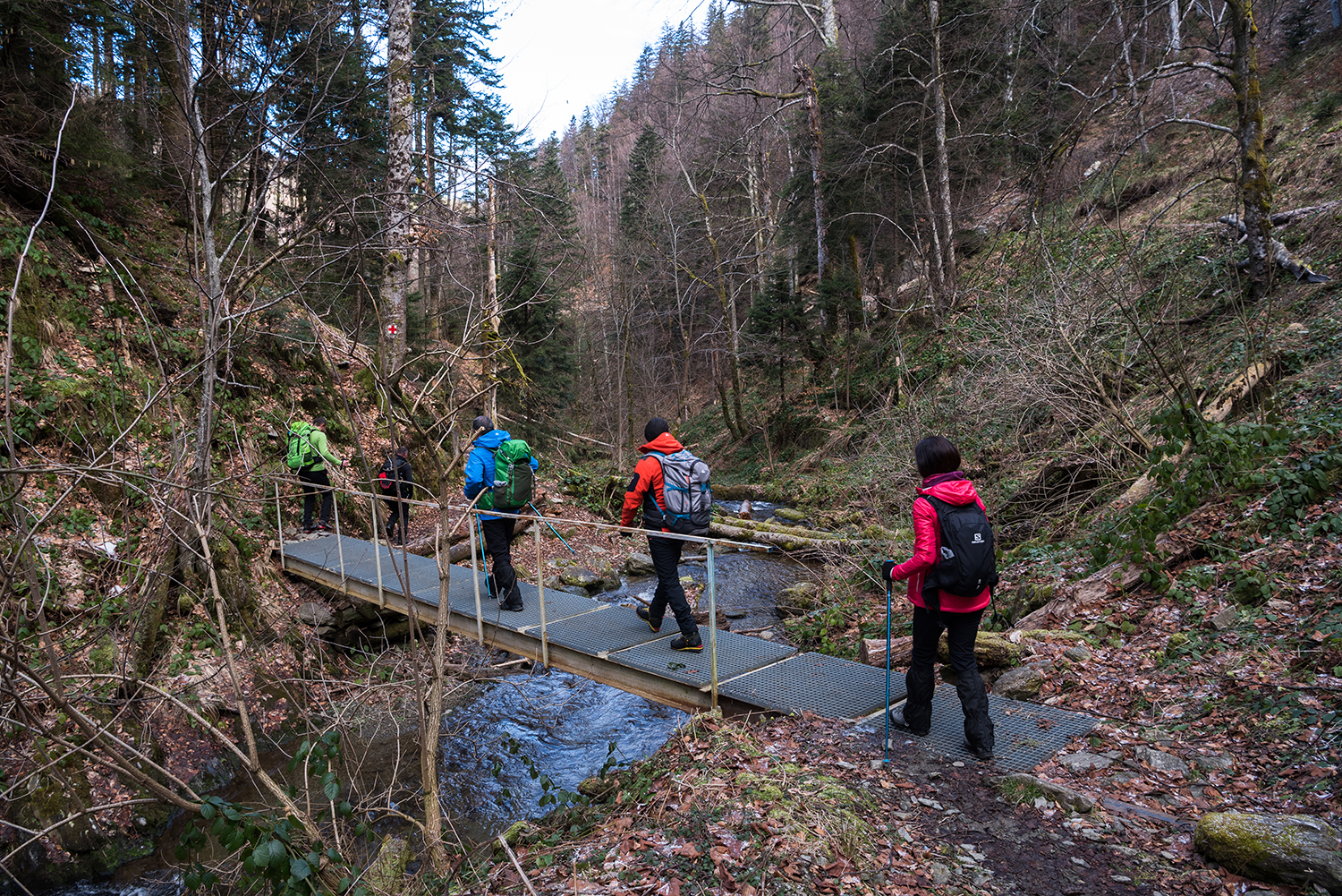Munții Făgărașului