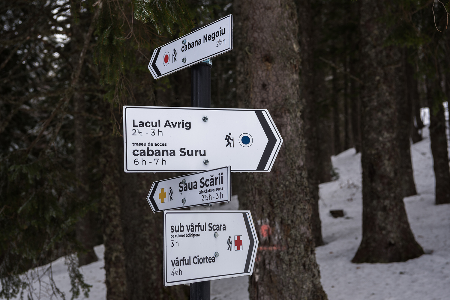 Munții Făgărașului