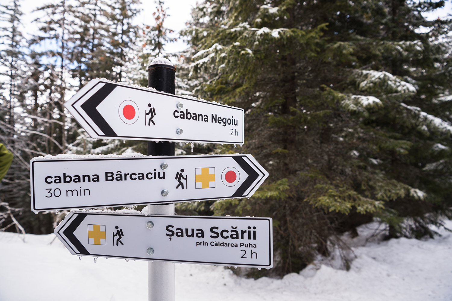 Munții Făgărașului