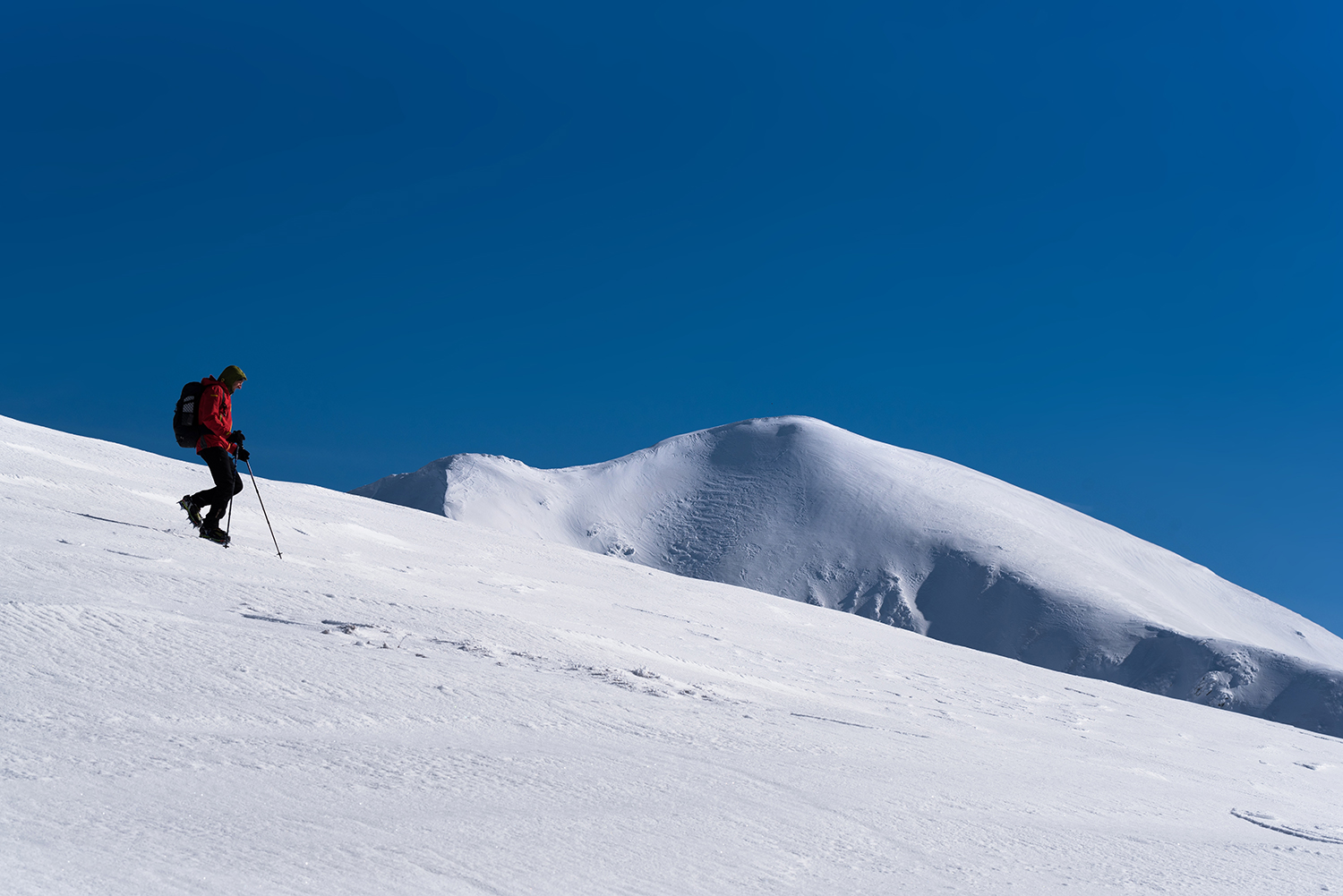 Munții Făgărașului
