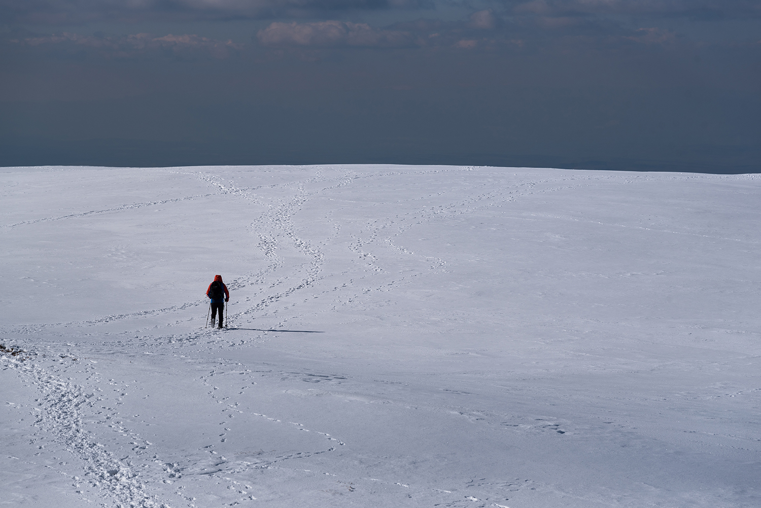 Munții Făgărașului