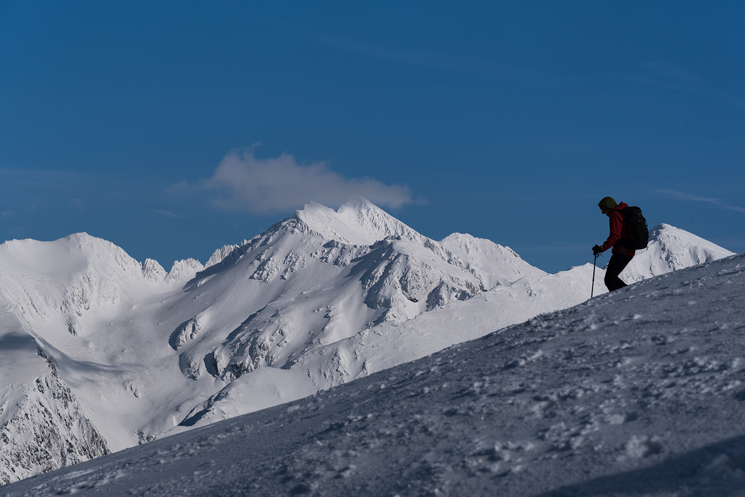 Munții Făgărașului