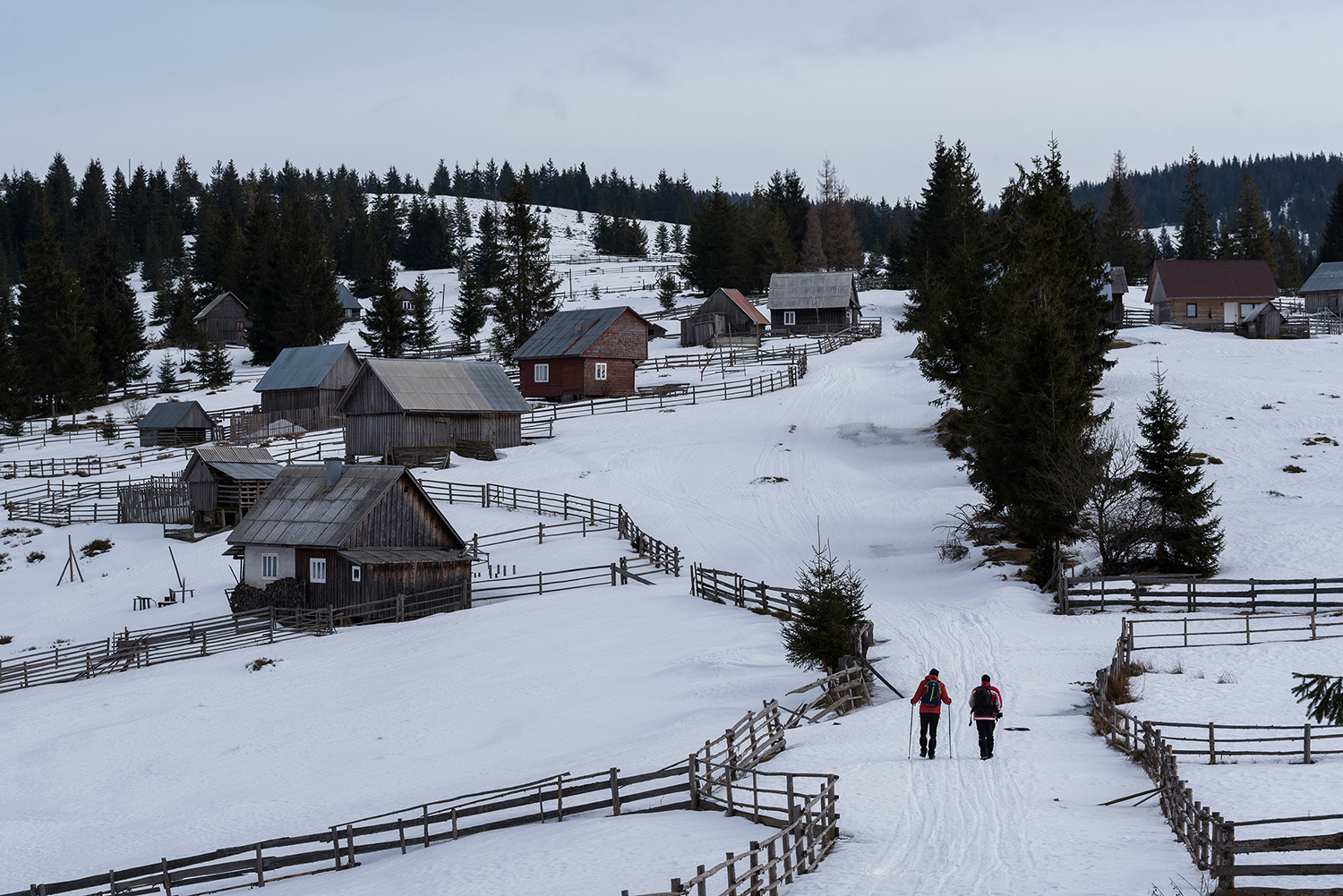 Munții Gilău - Muntele Mare
