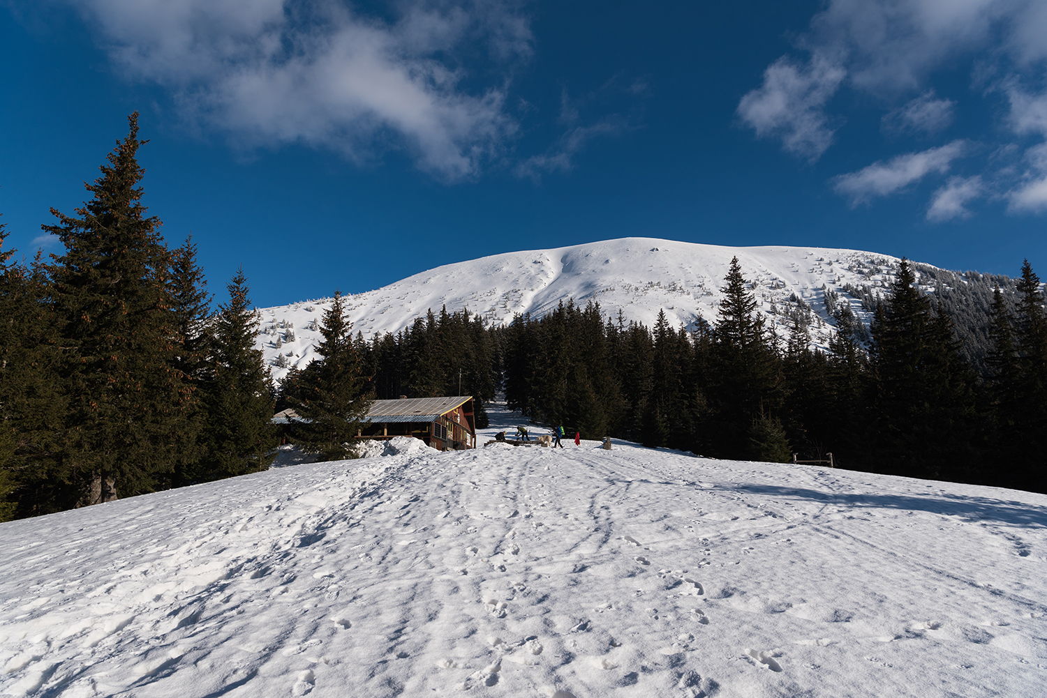 Munții Făgărașului
