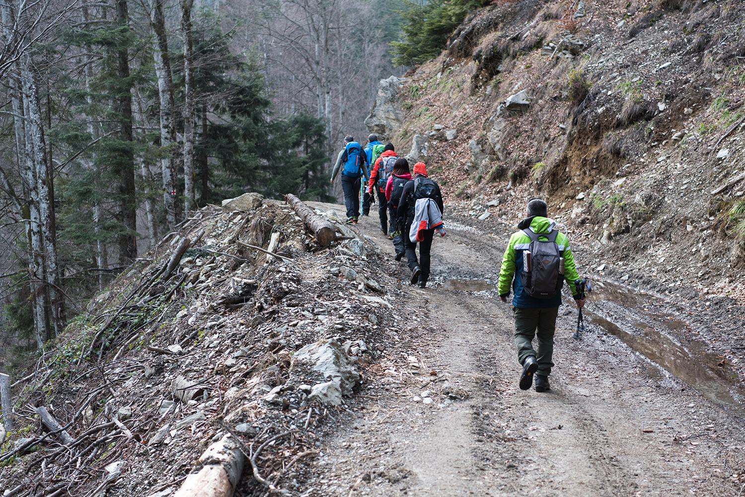 Munții Făgărașului