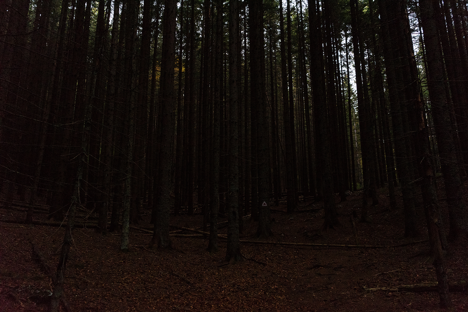 Munții Piule - Iorgovanu