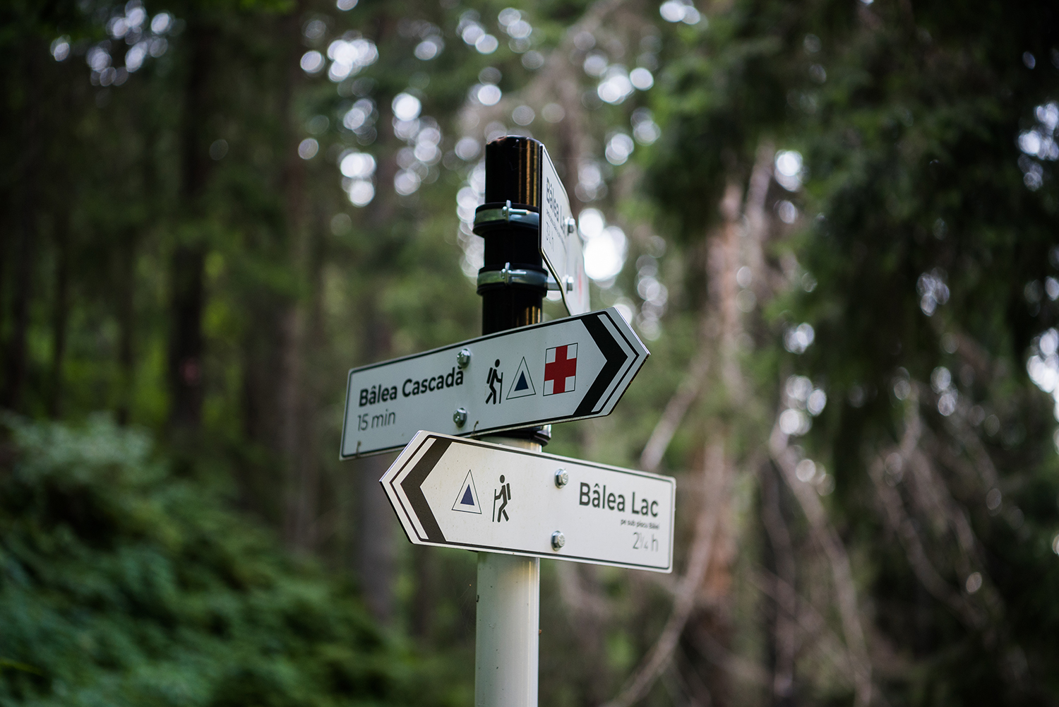  Munții Făgărașului