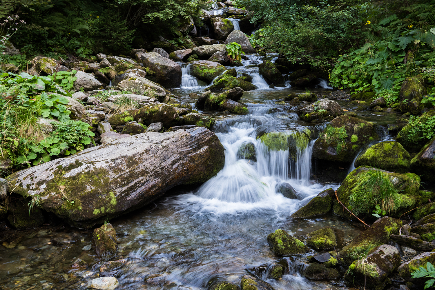  Munții Făgărașului
