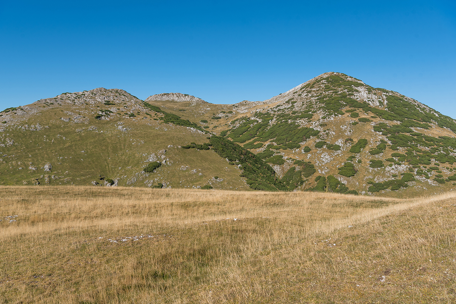 Munții Piule - Iorgovanu