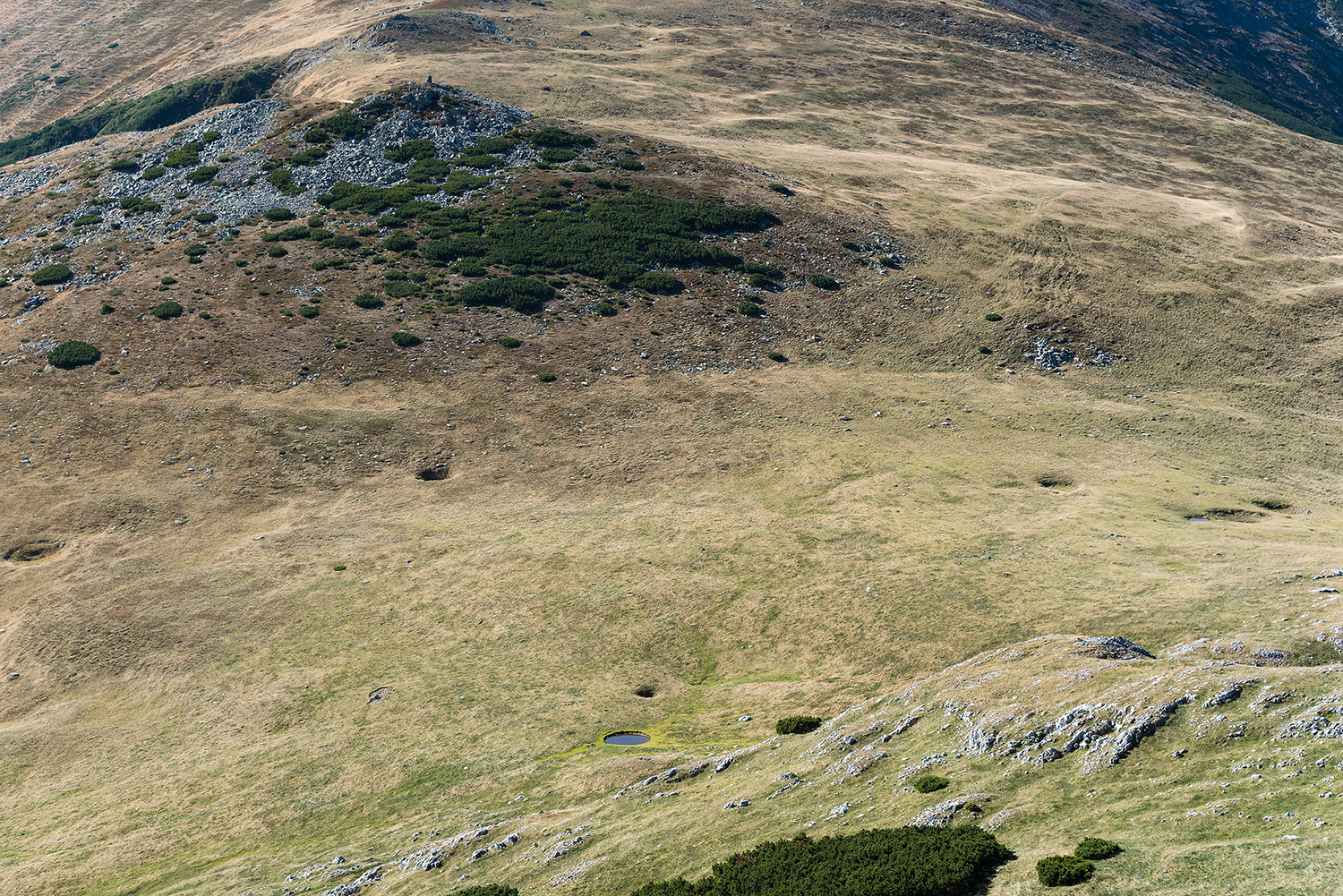Munții Piule - Iorgovanu